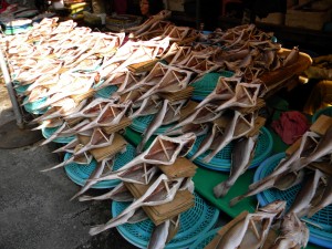 Busan - Jagalchi Fishery Market 1 (10)
