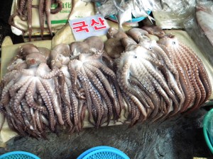 Busan - Jagalchi Fishery Market 1 (7)