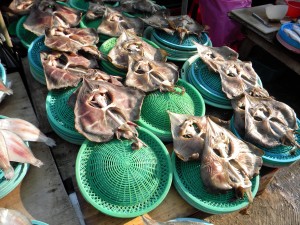 Busan - Jagalchi Fishery Market 1 (9)