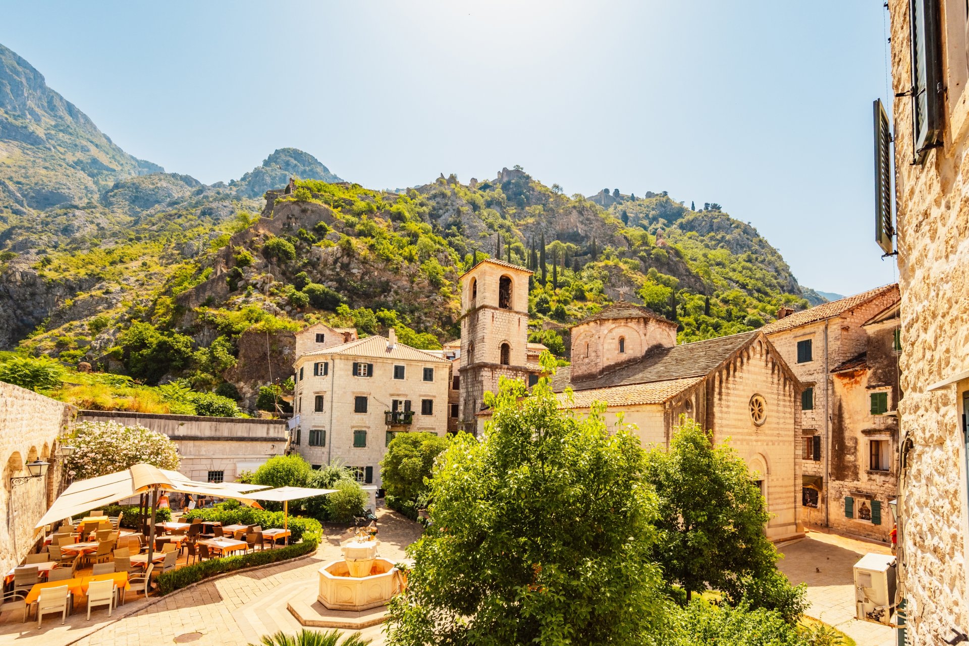 Kotor