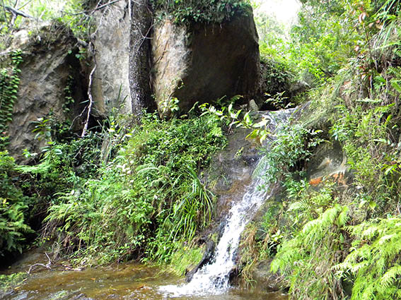 Isalo Park — formațiuni calcaroase