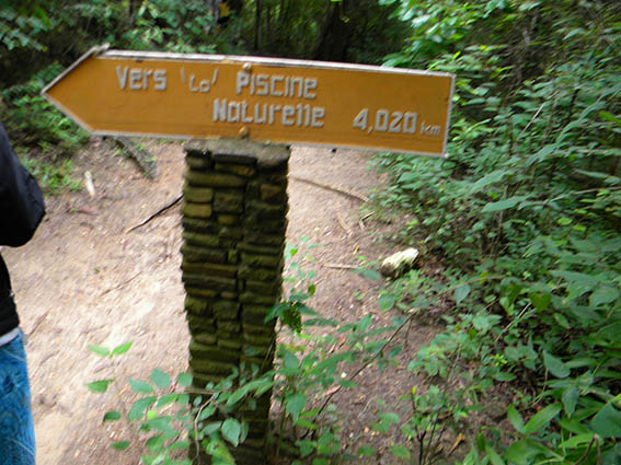 Vegetație în Isalo Park