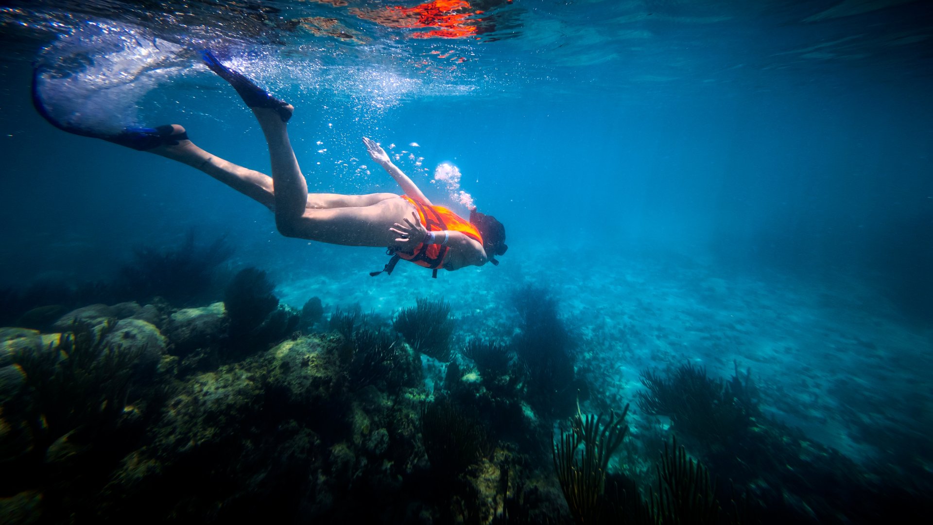 Turist face snorkeling si se apropie de reciful de corali in apa albastra din Riviera Maya, Mexic