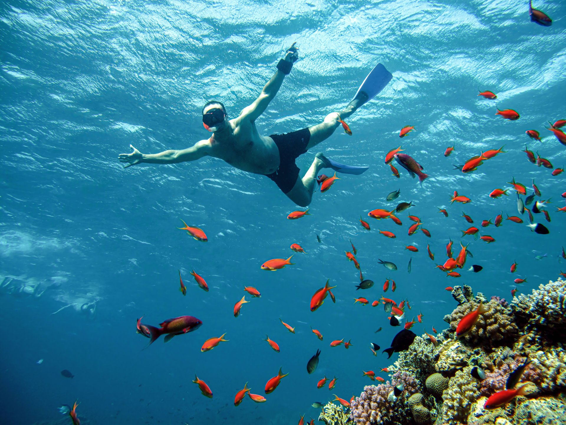 tanar barbat facand snorkeling sub apa in marea rosie egipt