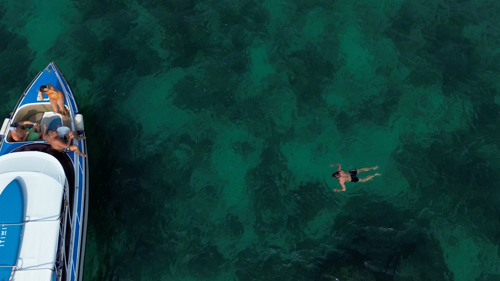 barbat face snorkeling langa insula phi phi thailanda multi pesti in apa turisti hranesc pestii de pe barca