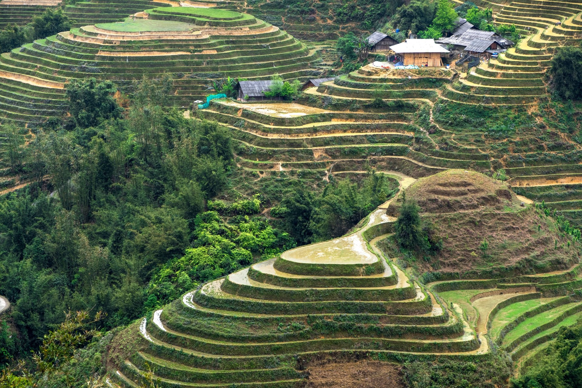 Peisaj rural cu terase de orez in Lao Chai regiunea Sa Pa Vietnam