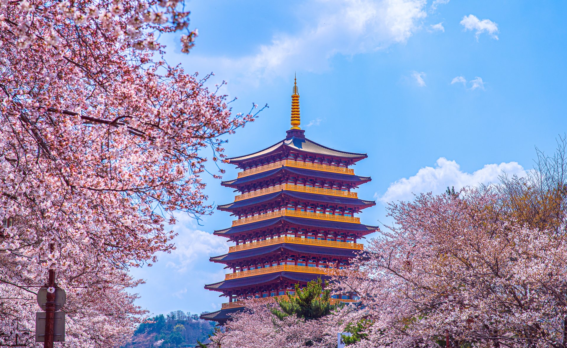Pagoda Hwangnyongwon cu noua etaje din orasul Gyeongju, inconjurata de ciresi infloriti primavara, intr-un peisaj linistit din Coreea de Sud.