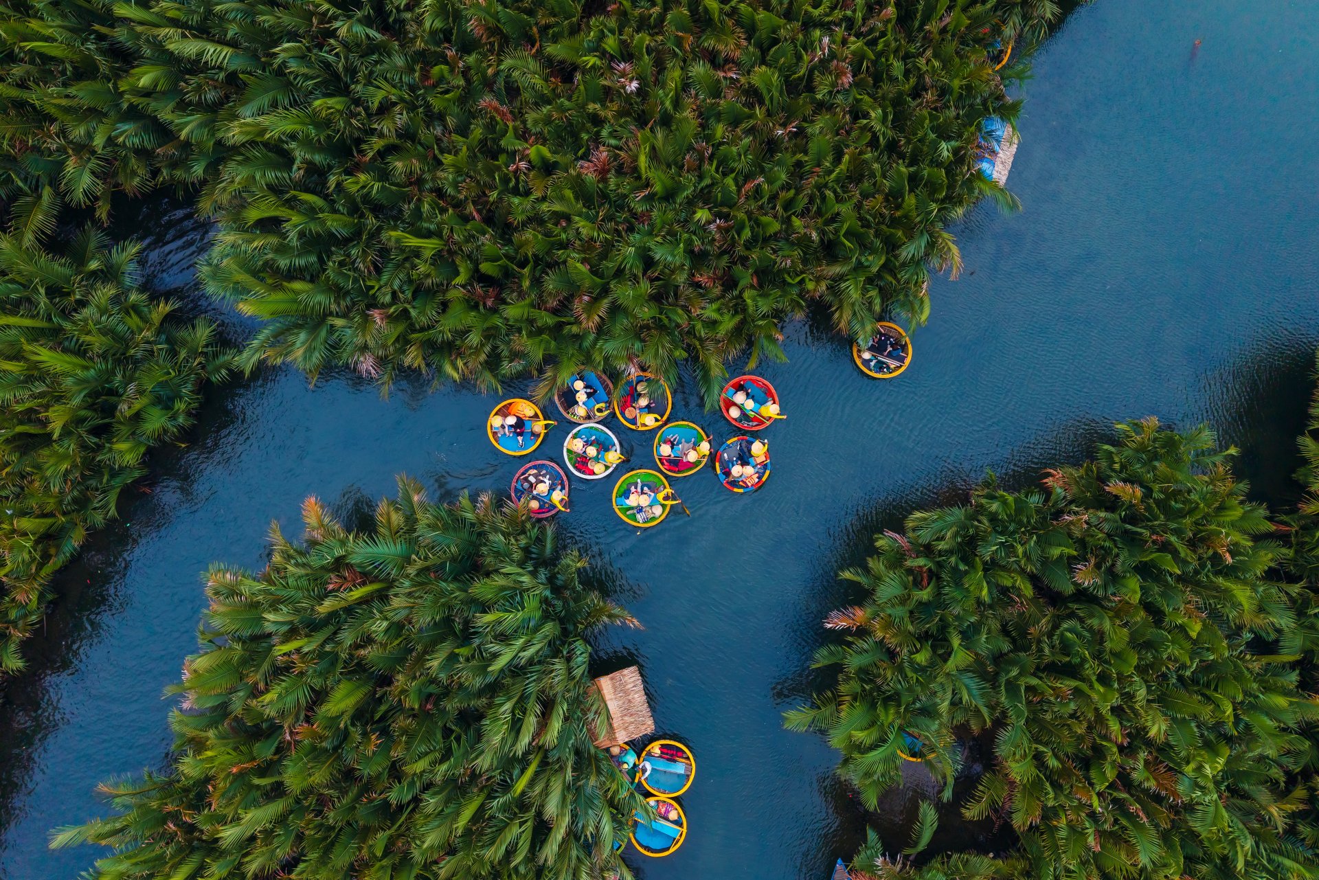 barci circulare in hoi an vietnam vazute de sus pe cai navigabile luxuriante