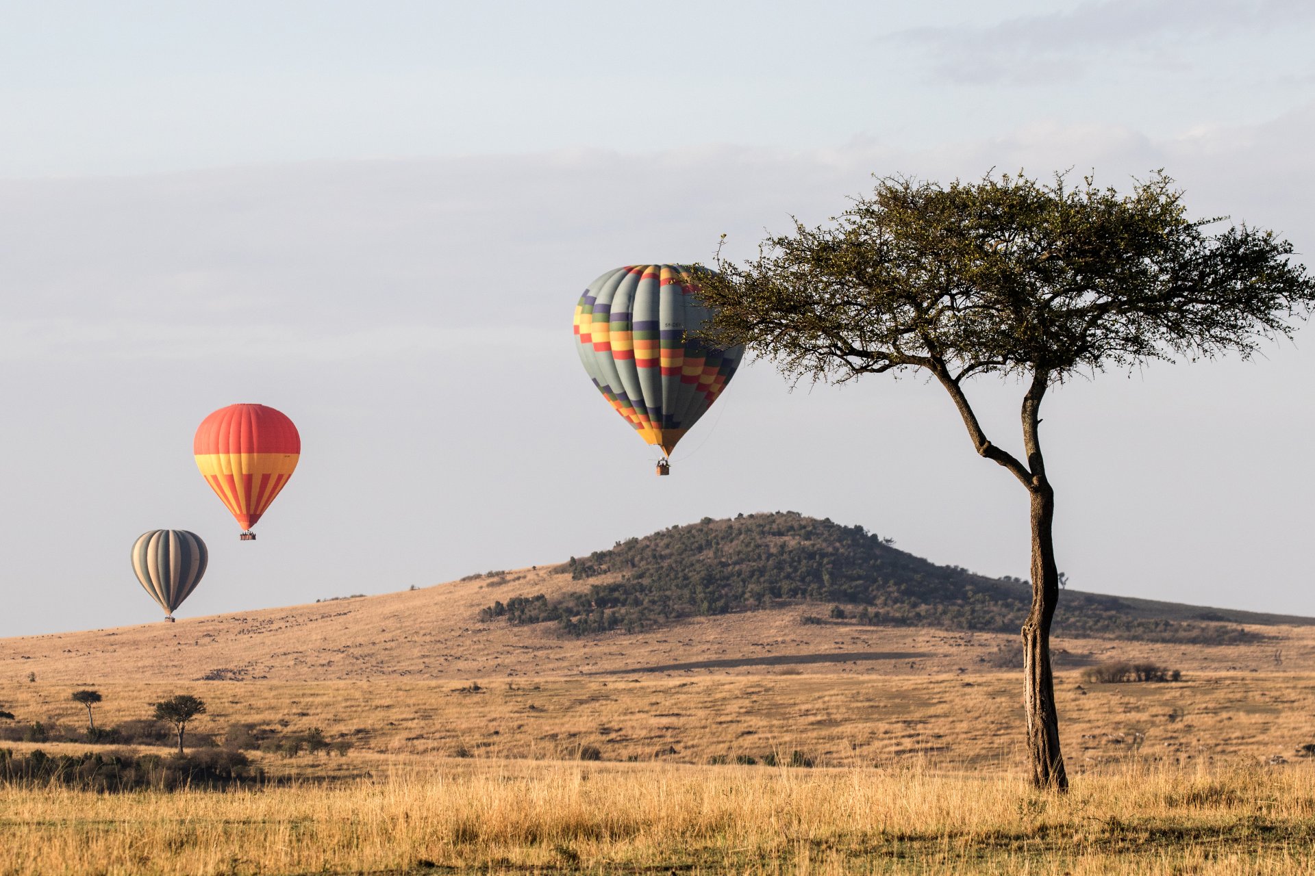 balon safari peste savana din masai mara kenya cu turisti in zbor deasupra animalelor salbatice