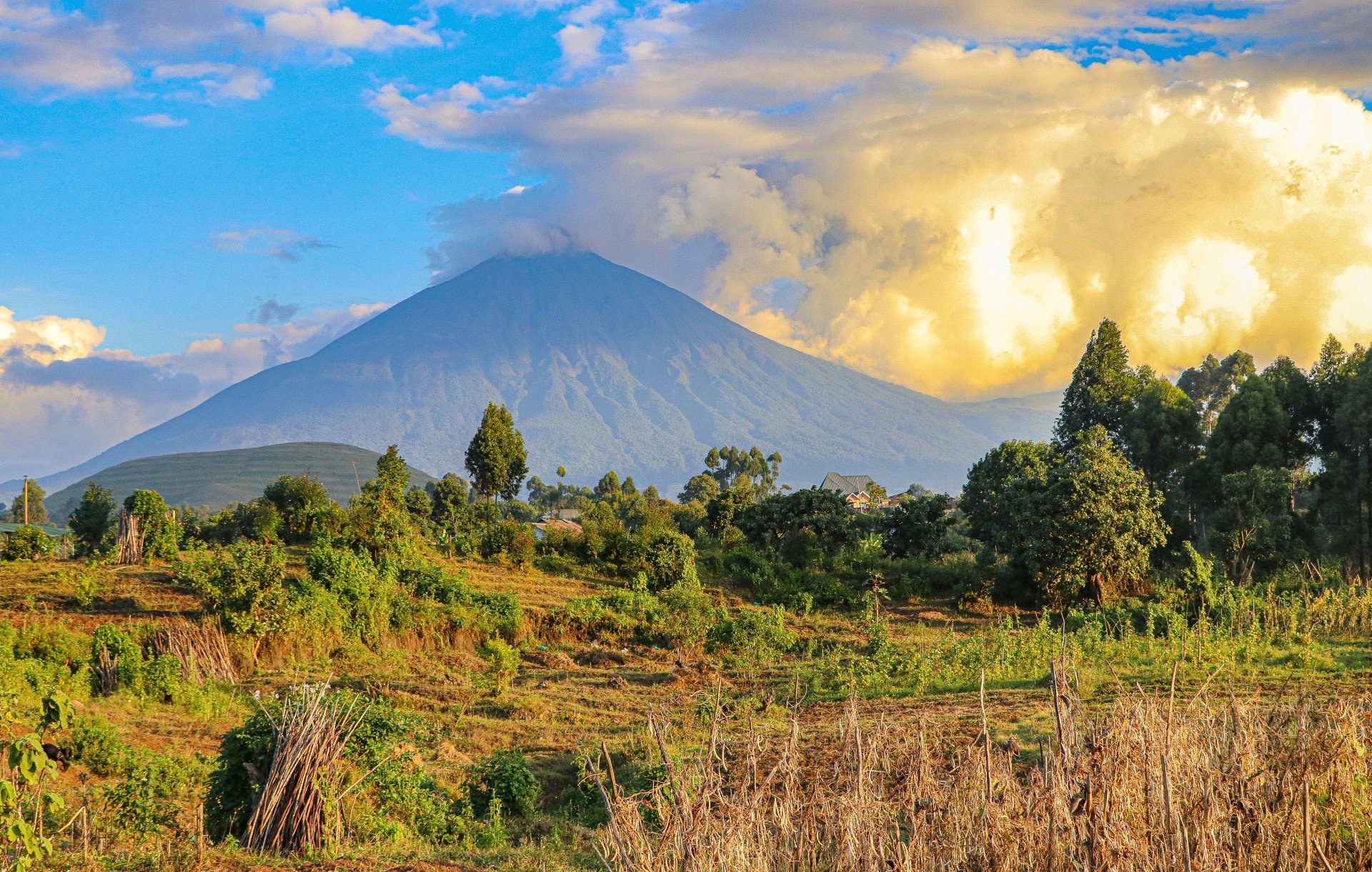 uganda munti vulcanici peisaj natural salbatic cu vegetatie luxurianta si biodiversitate bogata in parcuri nationale
