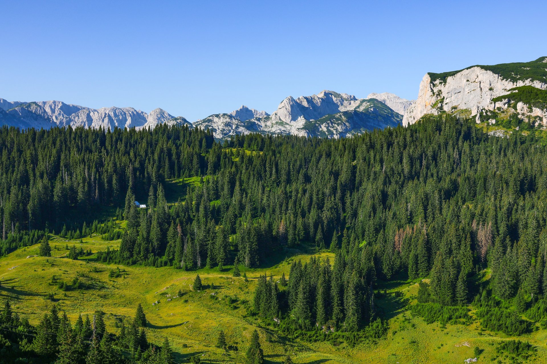 Panorama de vara din Parcul National Durmitor, cu munti impaduriti, vai verzi si peisaje naturale spectaculoase din Muntenegru.
