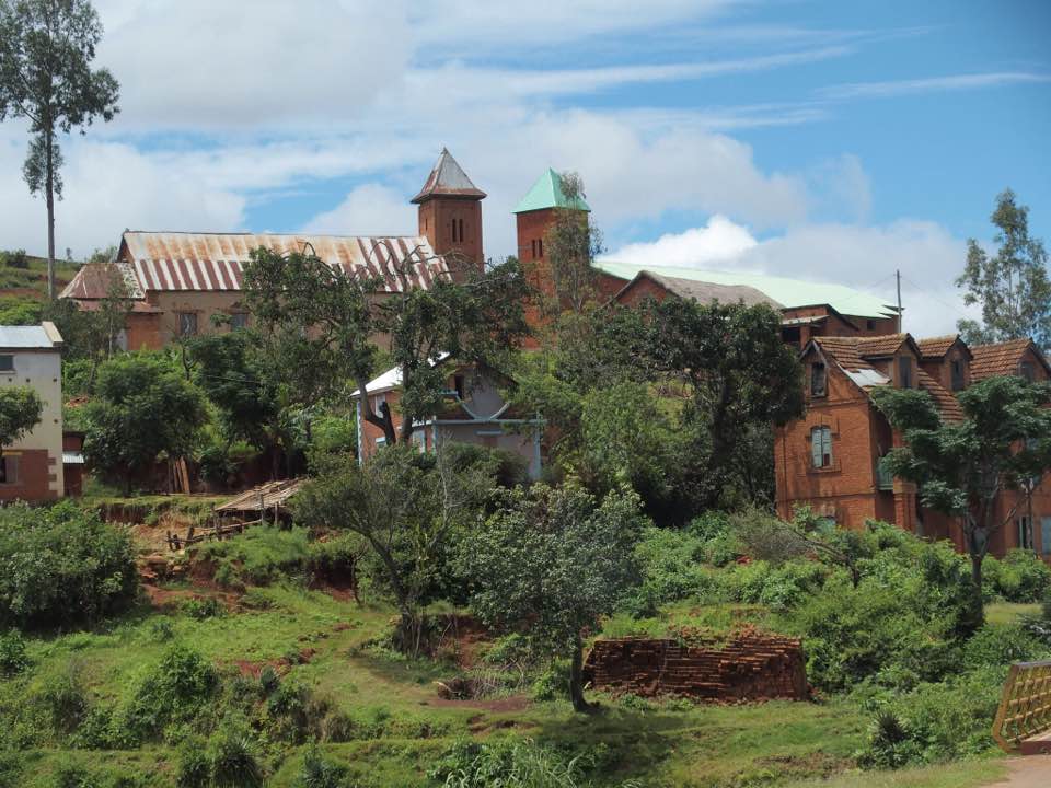 Vegetație tropicală în Madagascar