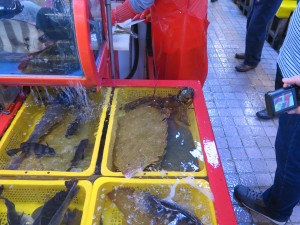 Busan - Jagalchi Fishery Market 1 (1)