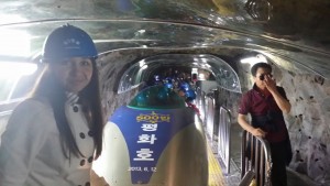 DMZ (10)