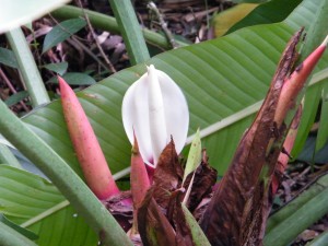 DSCF0878