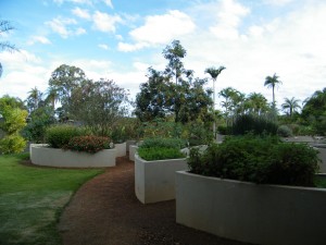 DSCF0925