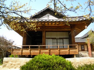 Hahoe Folk Village 2