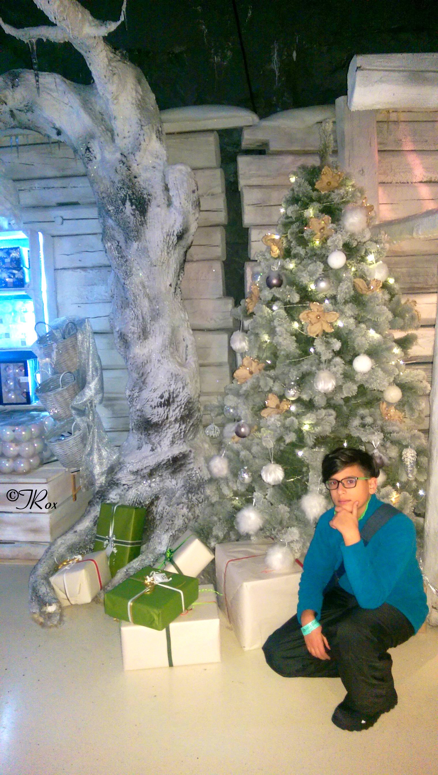 Activități în Santa Park