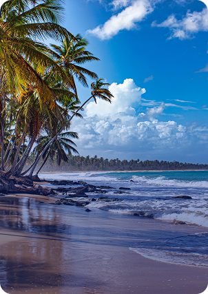 Dominicana