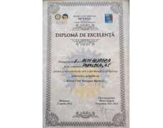 Diploma de excelenta Rotary Club Timisoara, 2014