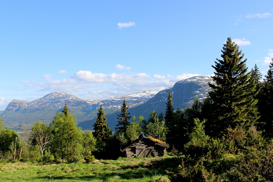Norvegia 2023 - Tara Guvernata De Natura