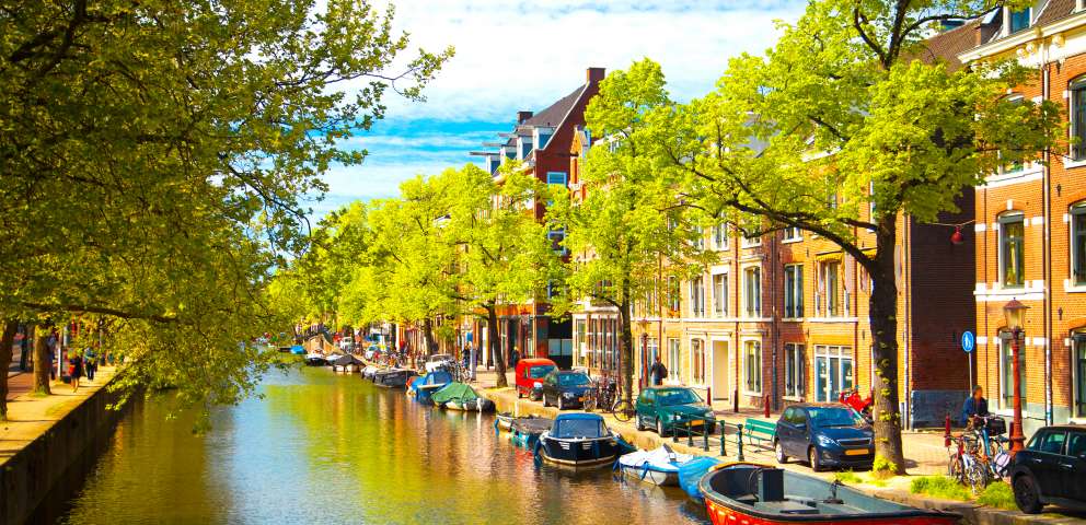 Amsterdam 2023 - Parada Florilor