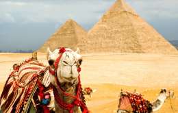 Egipt -  Revelion In Tara Piramidelor