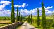 Toscana Si Cinque Terre 2024 - O Simfonie A Frumusetii (7 Nopti)