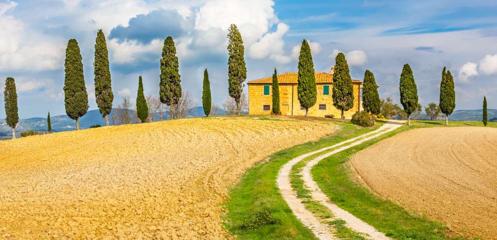 Toscana Si Cinque Terre 2024 - Arta La Superlativ