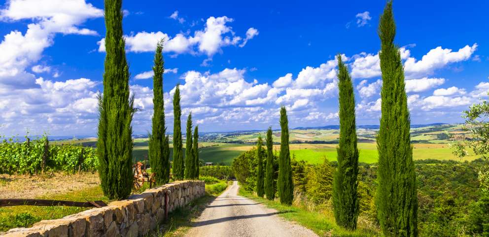Toscana Si Cinque Terre 2024 - Arta La Superlativ