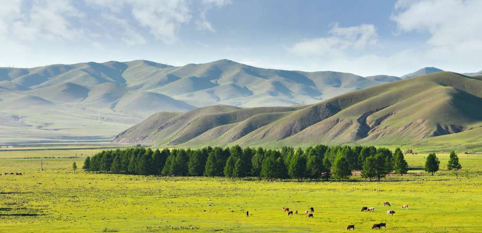 Mongolia 2024 - Tara Fascinantului Desert Gobi