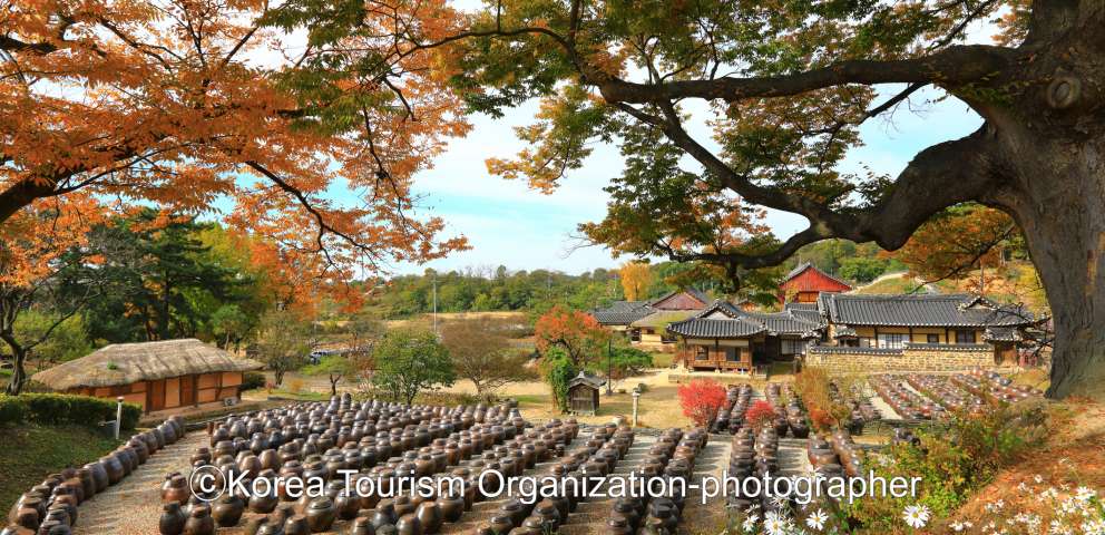 Coreea De Sud 14.10.2024 (10 Nopti) - Simfonia Culorilor De Toamna