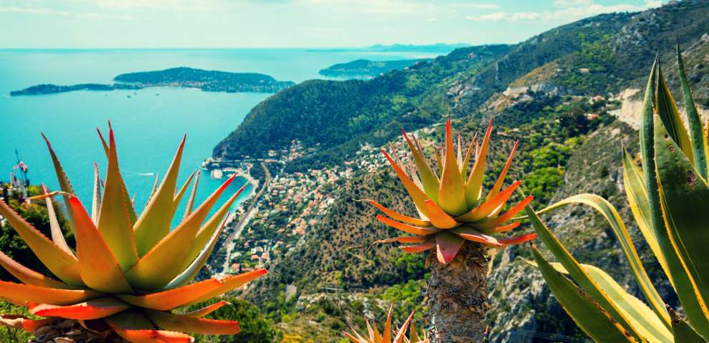 Coasta De Azur 2024 - Vacanta Elevilor