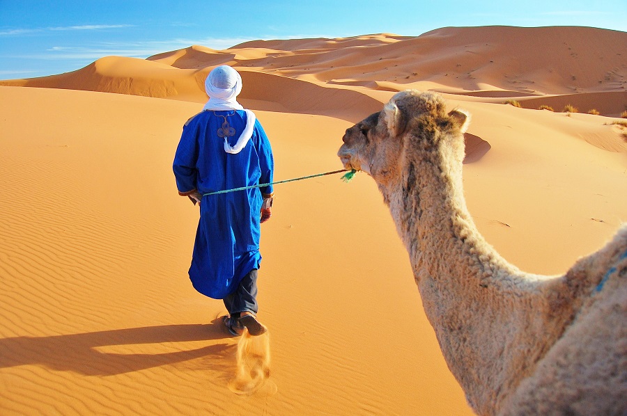Maroc 2024 - Turul Oraselor Imperiale Si Desertul Sahara (16.10)