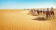 Maroc 2024 - Turul Oraselor Imperiale Si Desertul Sahara (16.10)