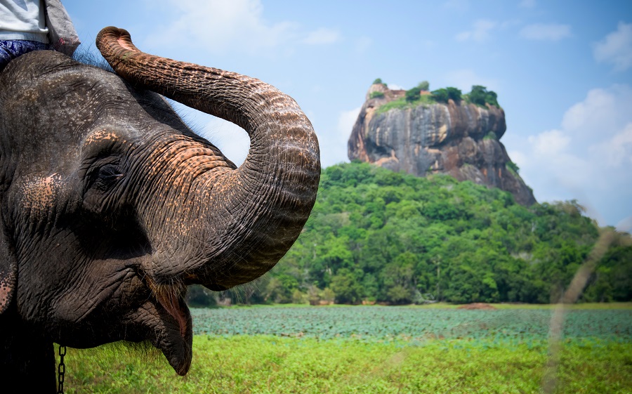Sri Lanka 2024 - O Destinatie Tropicala Fascinanta (08.11)