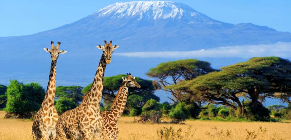 Kenya 2024 - Safari Si Plaja La Oceanul Indian