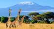 Kenya 2024 - Safari Si Plaja La Oceanul Indian