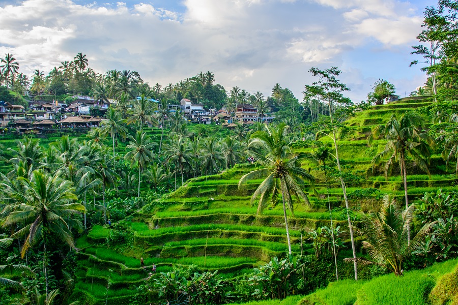 Indonezia 2024: Java Si Bali  - O Calatorie Memorabila (25.10)