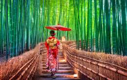 Japonia 10.05.2026 (11 Nopti) - O Poveste Intre Traditie Si Modernitate