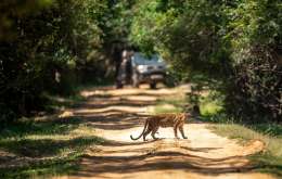 Sri Lanka 2026 - O Destinatie Tropicala Fascinanta (07.04)